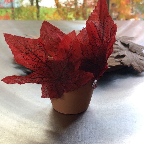 HAND CRAFTED- Upcycled- Turkey Terracotta Clay Pots -set of 2 - Picture 5 of 7